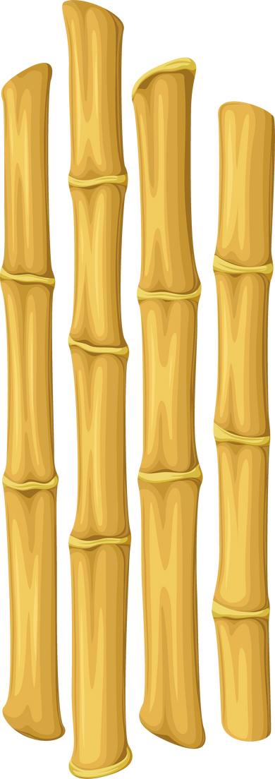 Bamboo Sticks