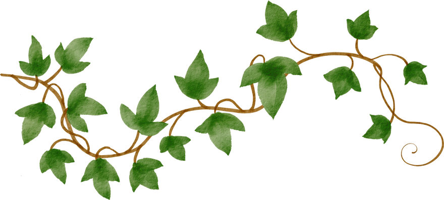 cutout ivy plant watercolor simplicity painting.
